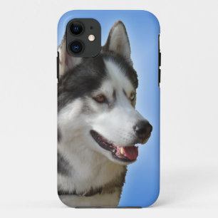 Husky iPhone 5 Case Siberian Husky Malamute Cases