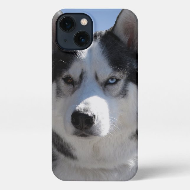 Husky iPhone Case Custom Husky Malamute Cases (Back)