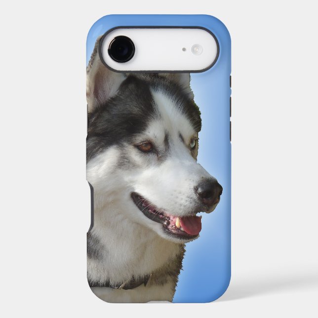 Husky iPhone Cases Husky Malamute Samsung Cases (Back)