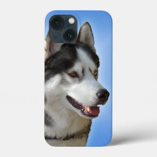 Husky iPhone Cases Siberian Husky Samsung Cases