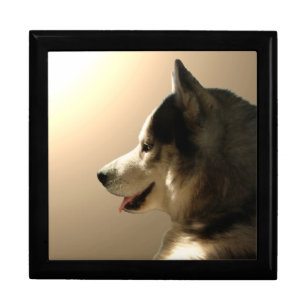 Husky Jewelry Box Siberian Husky Sled Dog Boxes