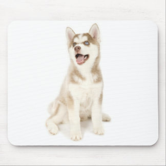 Husky Mousepad