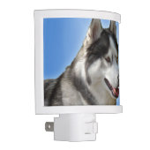 Husky Nightlight Siberian Husky Dog Night Light (Right)