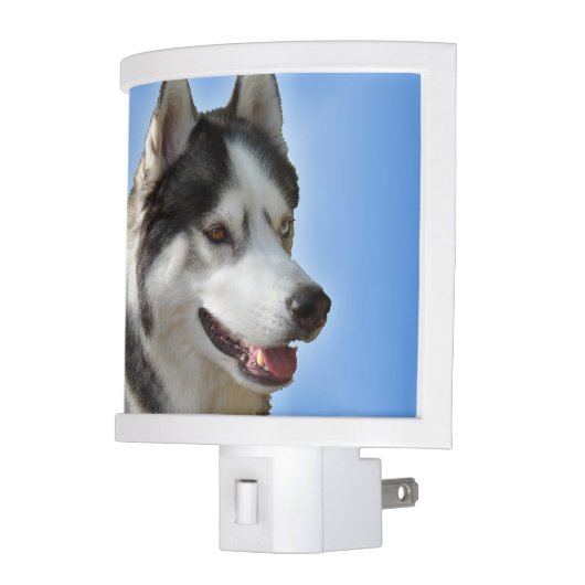 Husky Nightlight Siberian Husky Dog Night Light (Left)