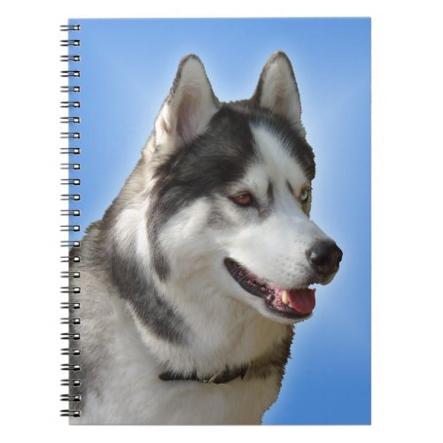 Husky Notebook Siberian Husky Gifts  Books