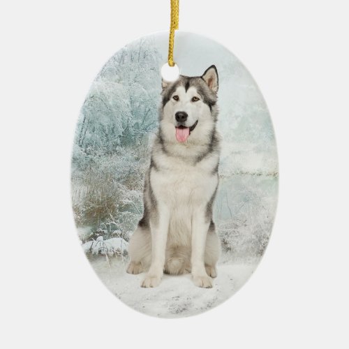 Husky Ornament