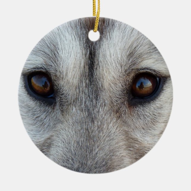 Husky Ornament Wolf Pup Keepsake Dog Gifts (Front)