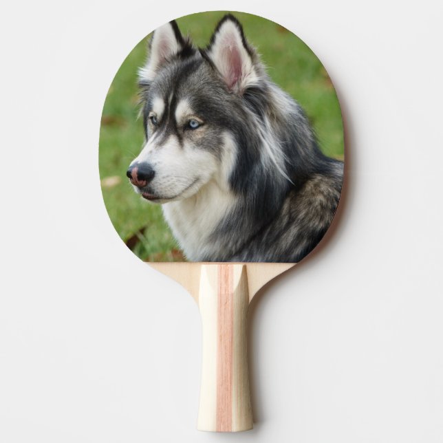Husky Ping Pong Paddle (Front)