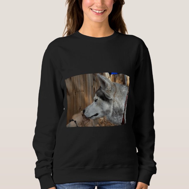 Husky Portrait Premium Sweatshirt (Front)