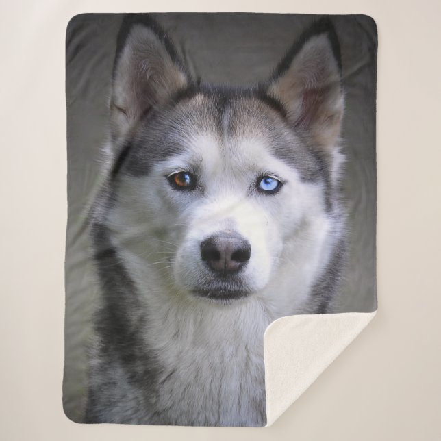 Husky portrait sherpa blanket (Front)