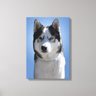 Husky Print Stretched Husky Malamute Dog Canvas