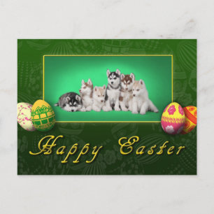 Husky puppies Easter Holiday Postcard