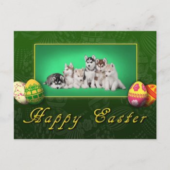 Husky Puppies Easter Holiday Postcard by petsArt at Zazzle