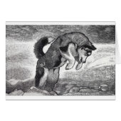 Husky Puppy (Front Horizontal)