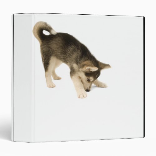 Husky Puppy 2 3 Ring Binder