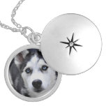 Husky Puppy Locket