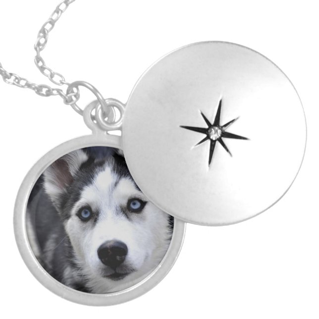 Husky Puppy Locket (Front)