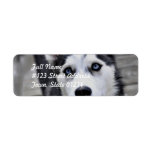 Husky Puppy Mailing Labels