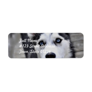 Husky Puppy Mailing Labels
