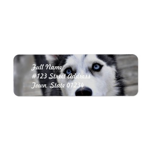 Husky Puppy Mailing Labels
