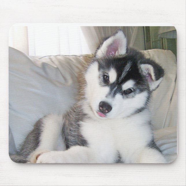 Husky Puppy Mousepad (Front)