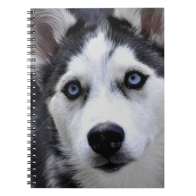 Husky Puppy Notebook (Front)