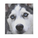 Husky Puppy Notepad