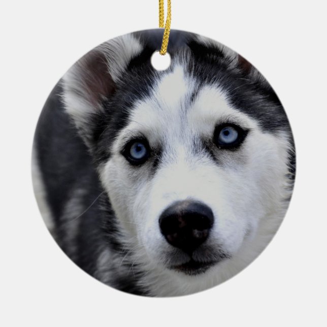 Husky Puppy Ornament (Front)