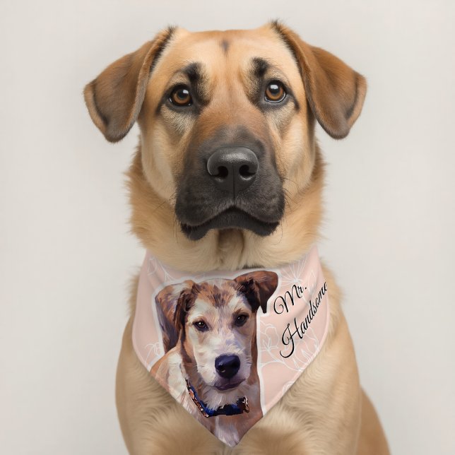 Husky Puppy Pet Bandana Collar (Dog 2)