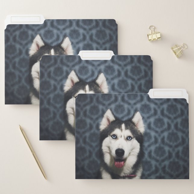 Husky Puppy Posing with a Dark Bakground File Folder (Set)