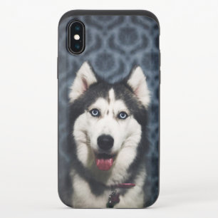 Husky Puppy Posing with a Dark Bakground iPhone X Slider Case