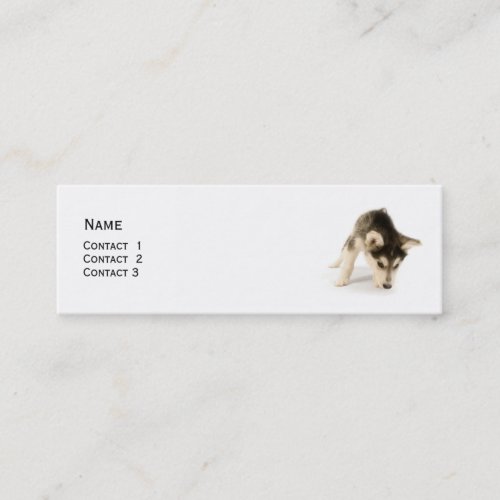 Husky Puppy Profile Card Business Card Templates