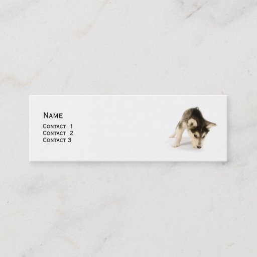 Customizable Husky Puppy Profile Card Business Card Templates