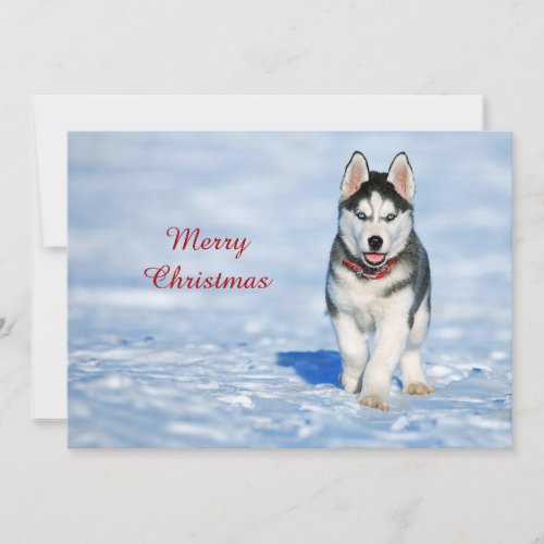 Husky Puppy Snow Photo Christmas Flat Holiday Card