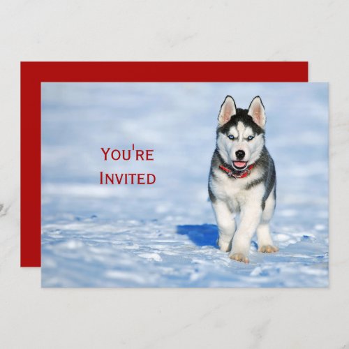 Husky Puppy Snow Photo Christmas Invitation