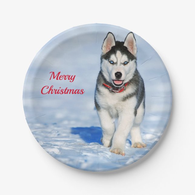 Husky Puppy Snow Photo Christmas Paper Plates (Front)