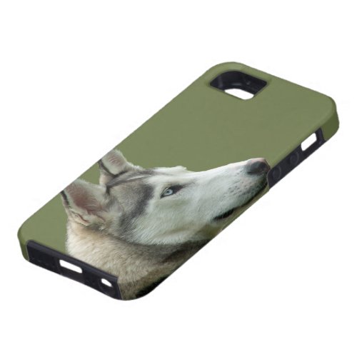Husky Siberian dog photo iphone 5 case mate gift