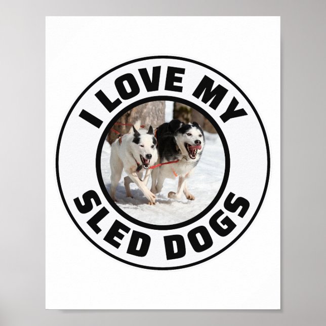 Husky Sledding Sled Dog Racing Alaskan Racers Poster (Front)