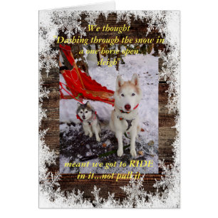 Husky sleigh ride cards