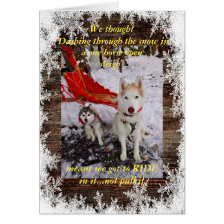 Husky sleigh ride cards