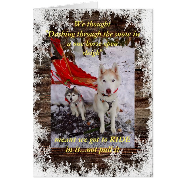 Husky sleigh ride cards (Front)