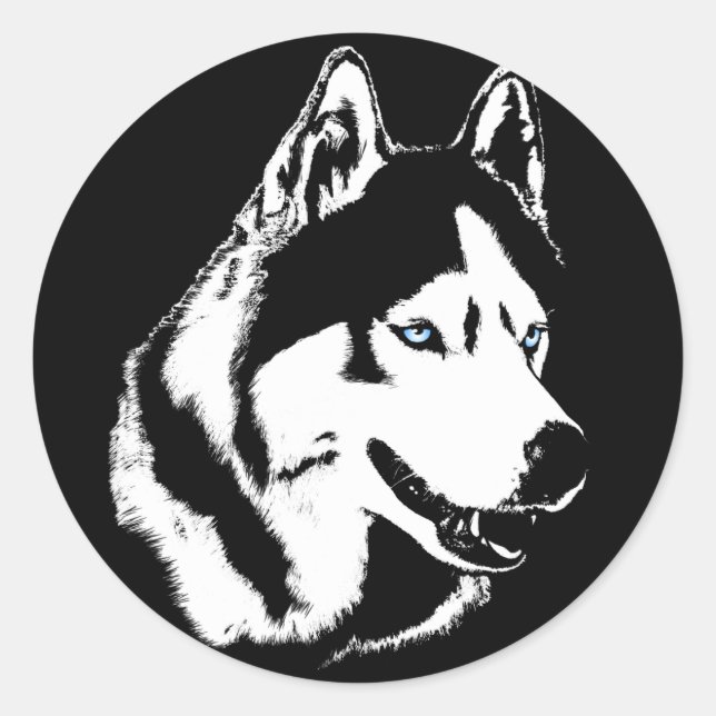 Husky Stickers Siberian Husky Malamute Stickers (Front)
