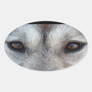 Husky Stickers Siberian Husky Wolf Pup Stickers