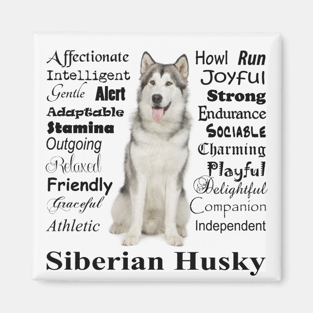 Husky Traits Magnet (Front)