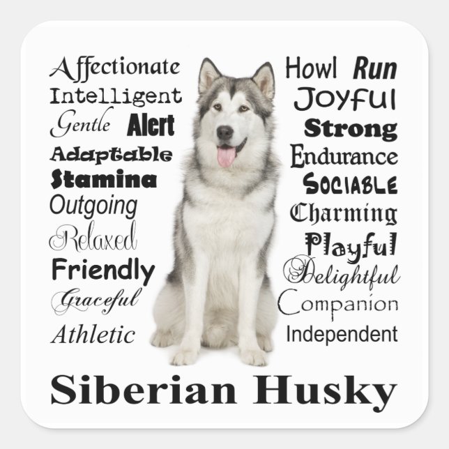 Husky Traits Stickers (Front)