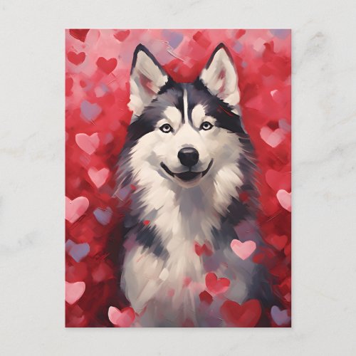 Husky Valentines day Postcard