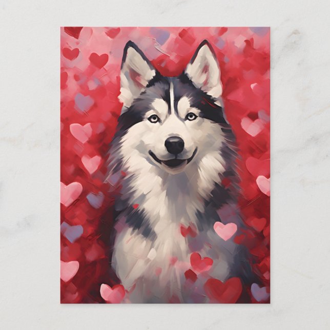 Husky Valentines day Postcard (Front)