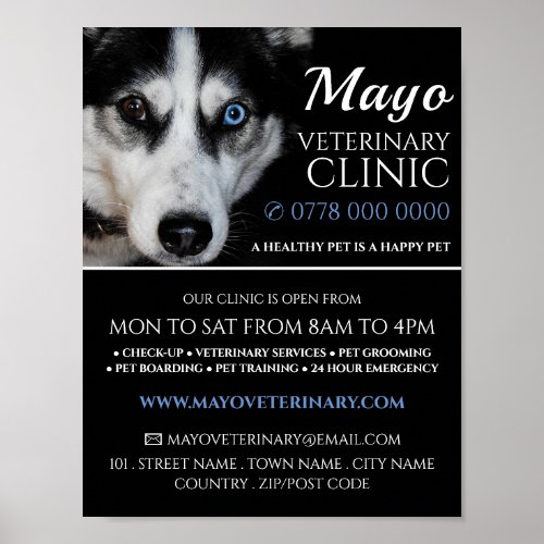 Husky Veterinarian Veterinary Service Advert Poster