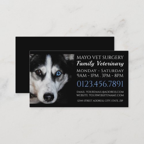 Husky Veterinarian Veterinary Service Business Card