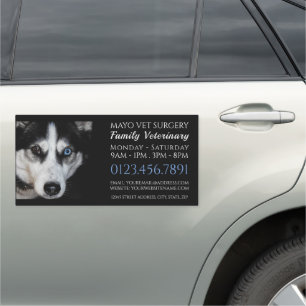 Husky, Veterinarian, Veterinary Service Car Magnet